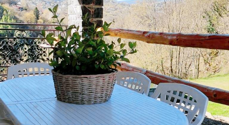Wonderful farm with pool, sauna & terrace | Dogs allowed — photo 5