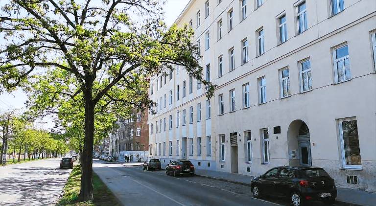 Pleasant rental apartment | Dogs allowed — photo 3