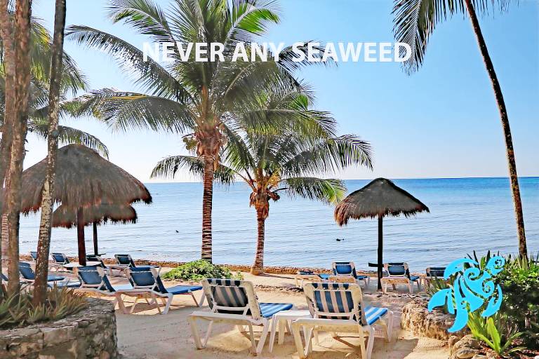 Private Beachfront w Lanai Pool Tropical Gardens