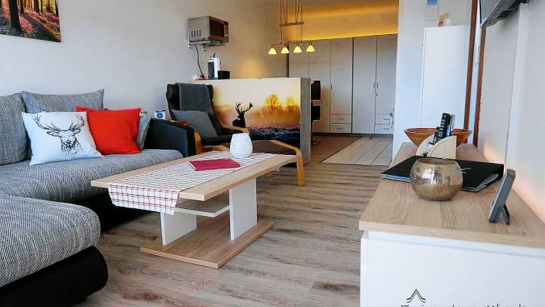 Ferienwohnung Hahnenklee