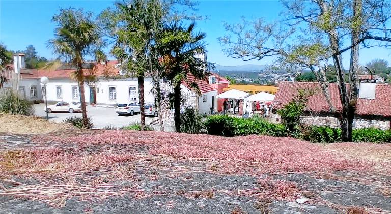 Quinta de Marzovelos in Viseu