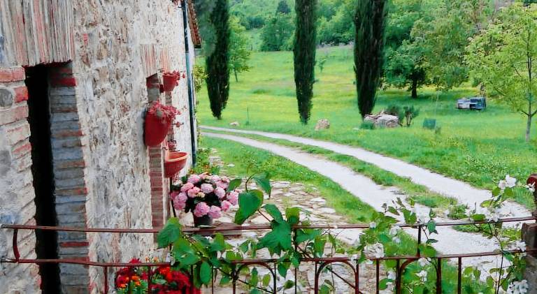 Spacious rental apartment with pool | Pet-friendly in Castelnuovo di Val di Cecina