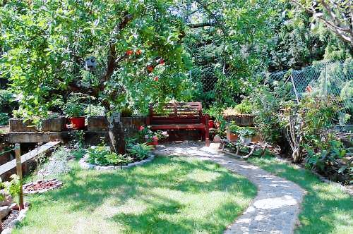 Appartement Ribeauvillé