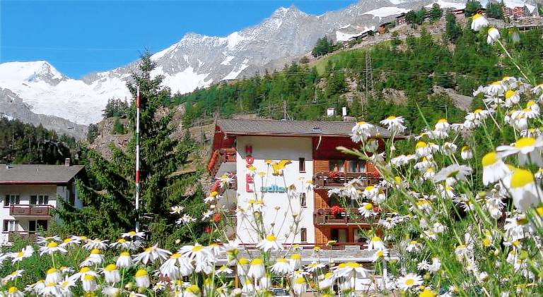 Hotel Adler in Saas Grund