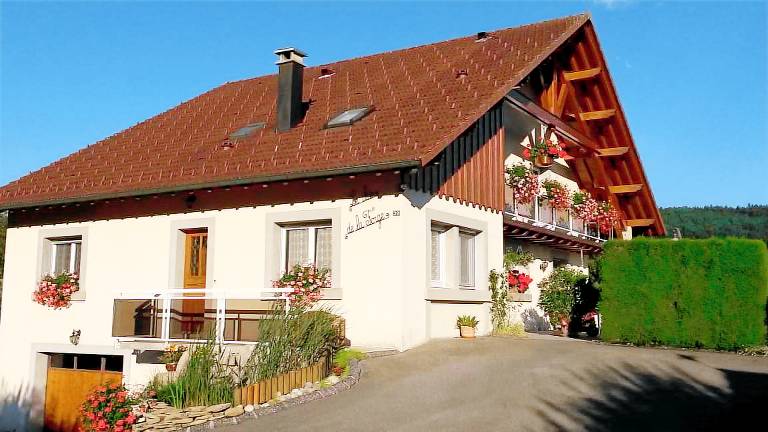 foto1