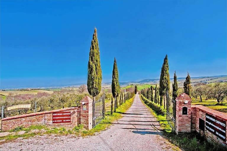 Carpineto: IL CIPRESSO (Piano Terra) — photo 4