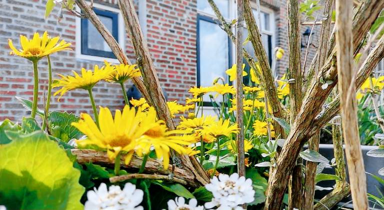 Bed & Breakfast Ameland