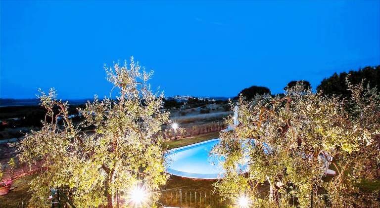 Farm with pool, yard & barbecue — photo 4
