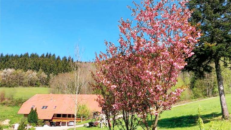 Ferienwohnung Waldkirch