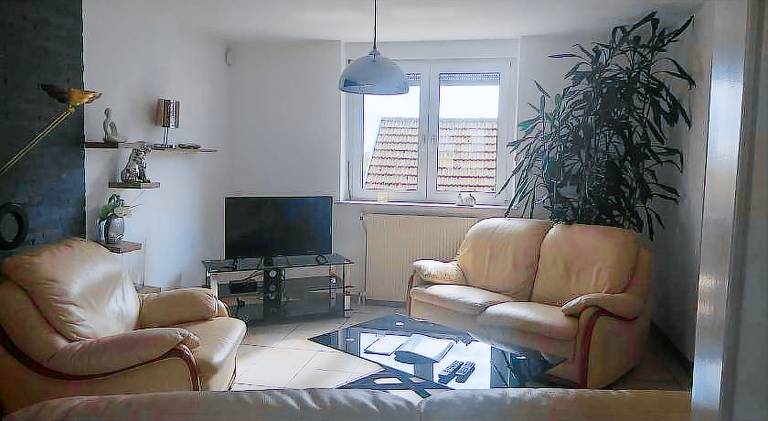 Vacation home | Dogs allowed in Sélestat