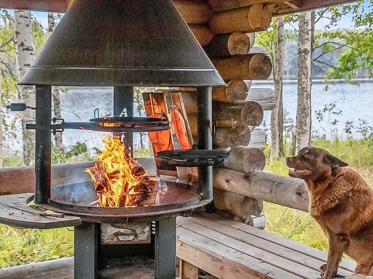 Vacation home with sauna | Nature view | Pet-friendly — photo 4