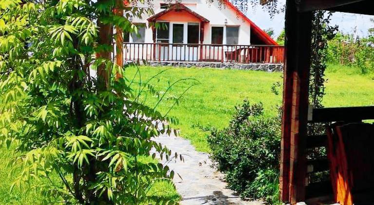 Spacious house | Pets allowed in Sibiu