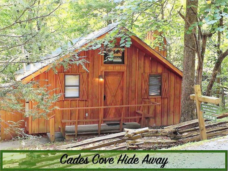 Cabin Townsend