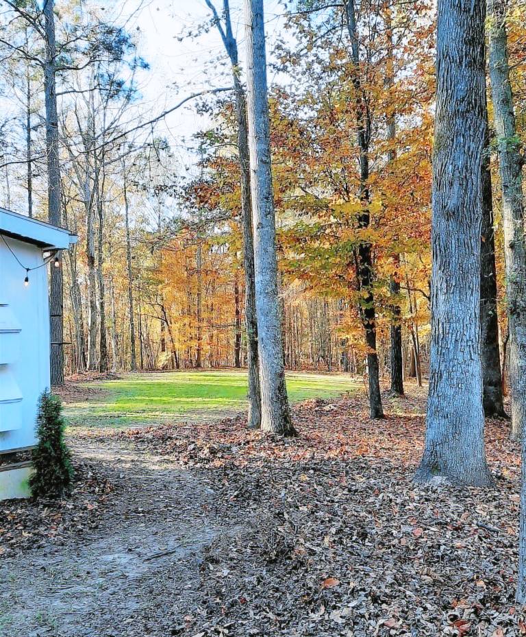 Cabin Woolsey