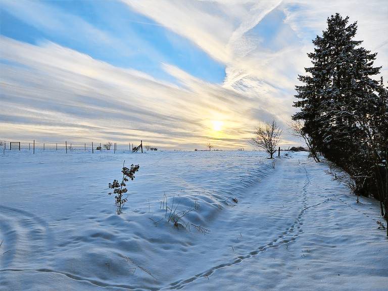 Apartment Harz Relax