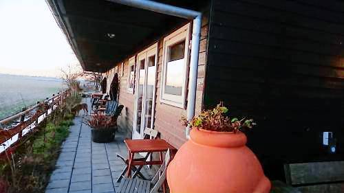 foto7