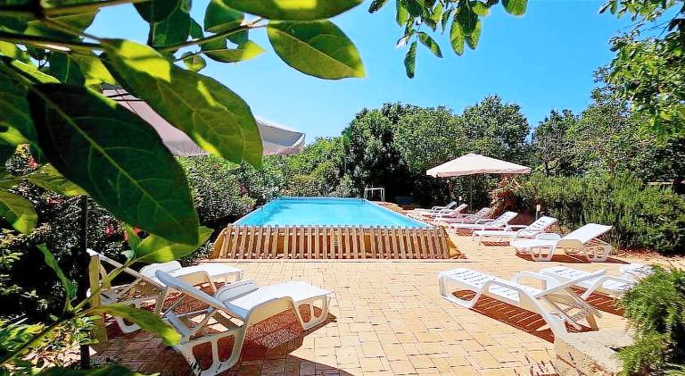 House with pool | Pets are welcome — photo 2