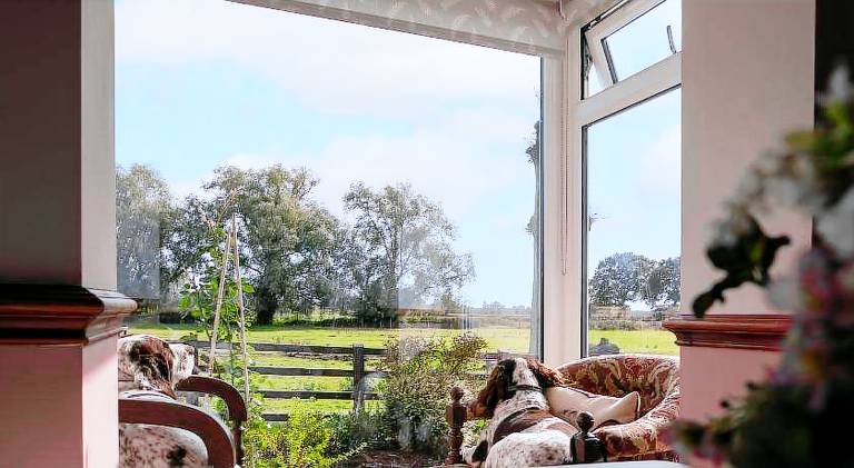 Charming farm with yard | Pet-friendly — photo 5