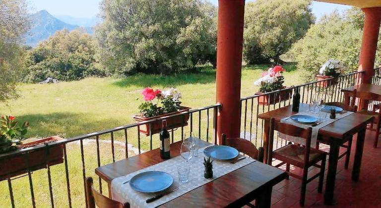 Beautiful farm with garden | Dogs allowed — photo 4