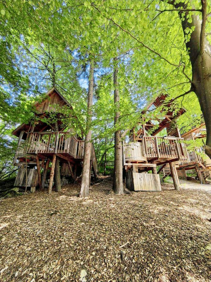 foto2