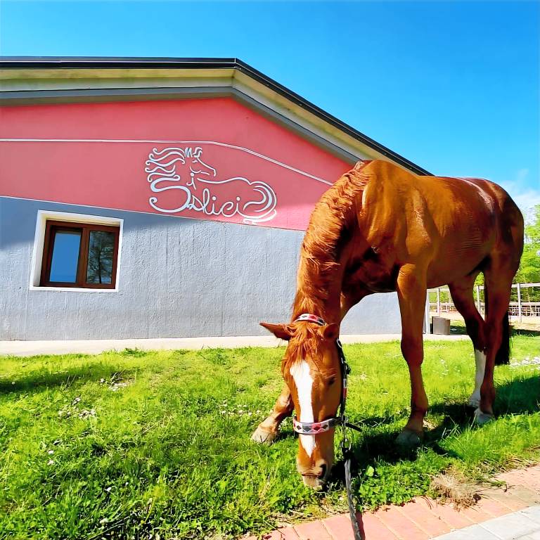 Family-friendly pleasant house with yard | Mountain view | Pets allowed in Uggiate Trevano