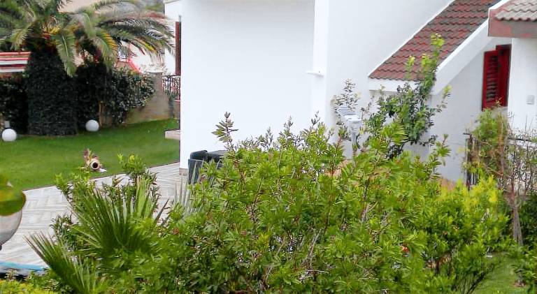 House with pool in Matera