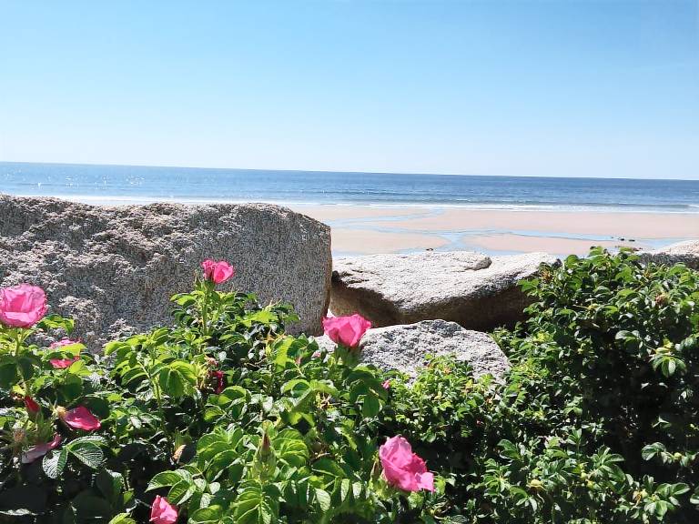 Cottage  Old Orchard Beach