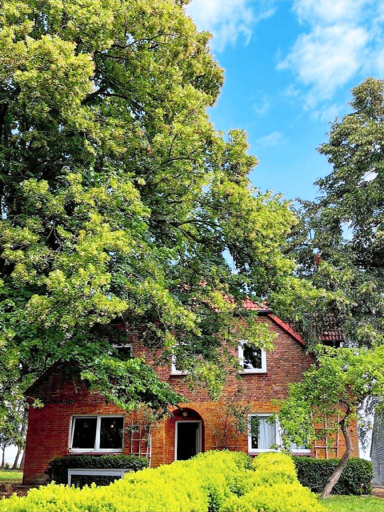 Lovely farm with garden | Dogs allowed in Guestrow