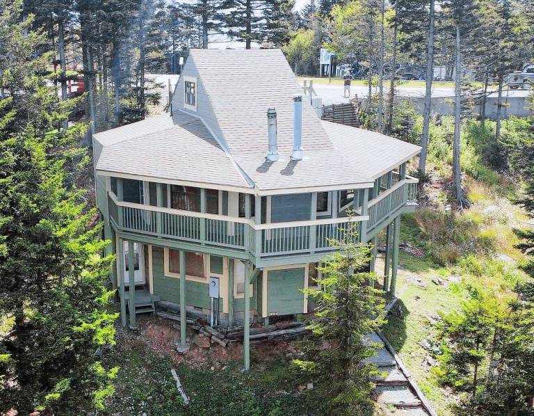House Snowshoe