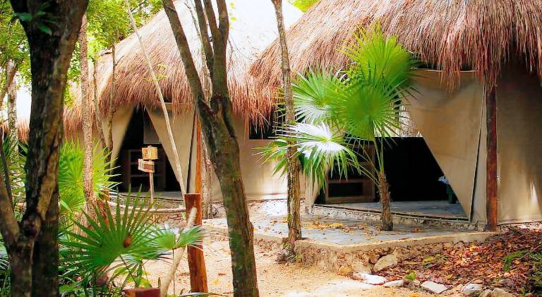 Akumal Natura Glamping — photo 2