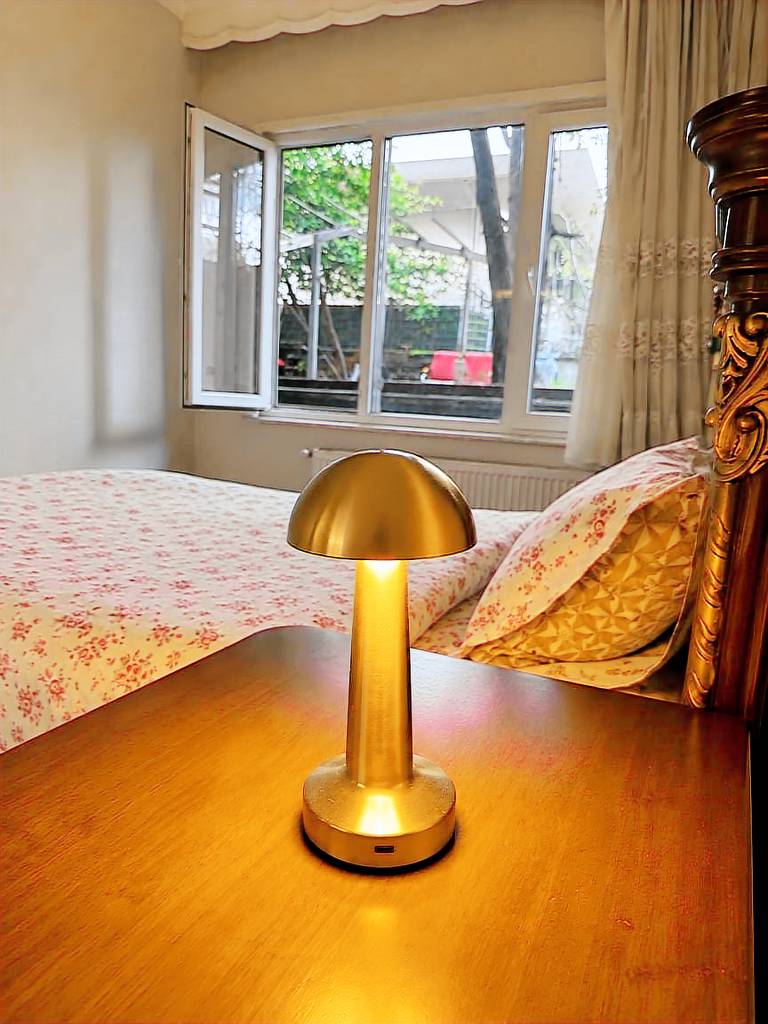 Privatzimmer mit Hund inEuropean Side  f&uuml;r max. 2 Personen