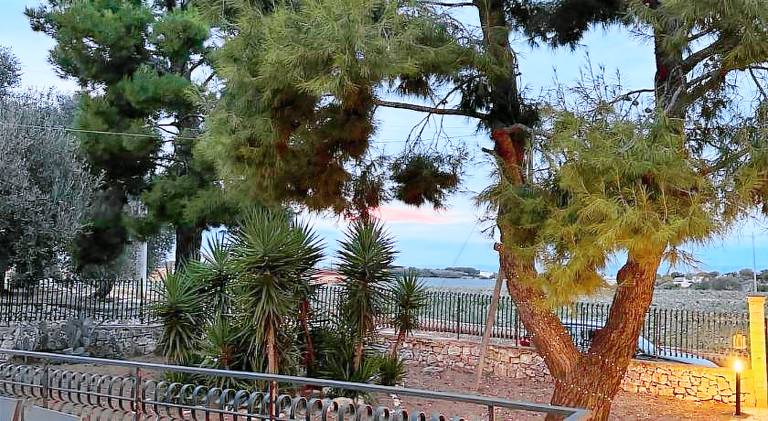 House | Pets allowed in Polignano a Mare