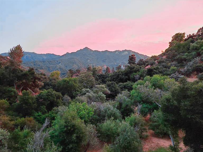 Bed and breakfast  Topanga