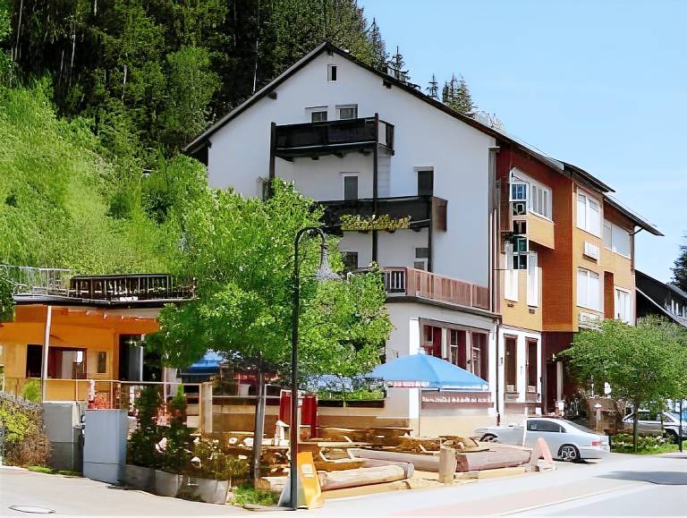 Action Forest Active Hotel B&B in Hinterzarten