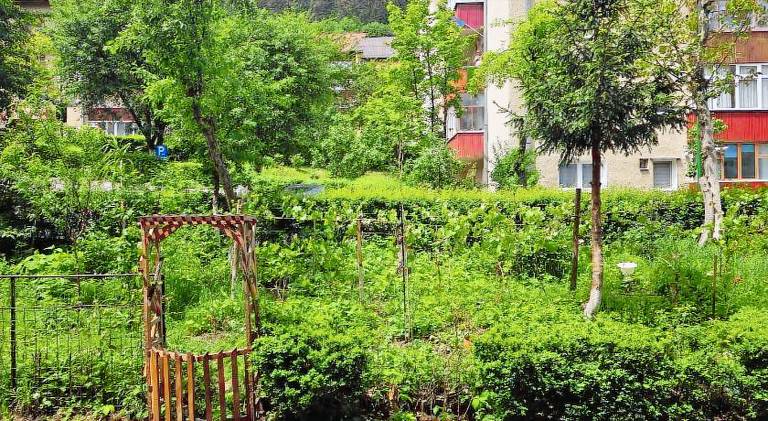 Apartment | Pet-friendly in Brasov