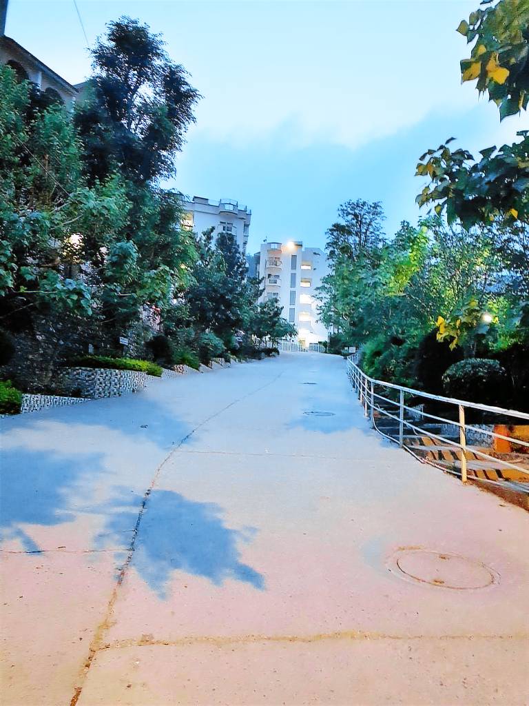 foto5