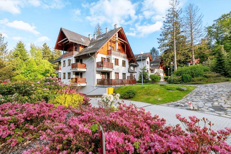 Apartment with yard & fast internet | Mountain view in Karpacz
