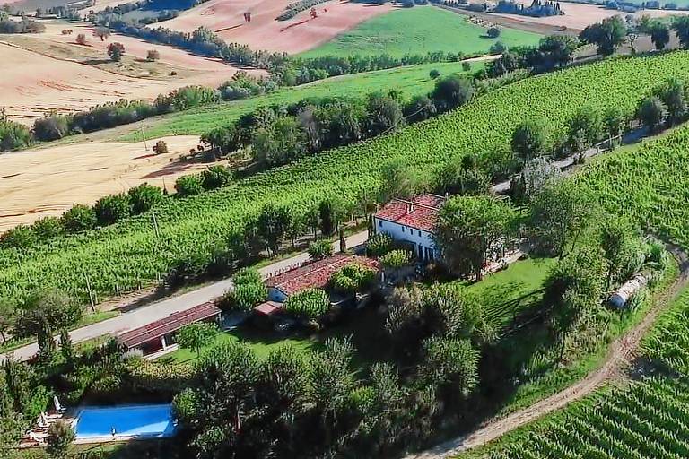 Vigna Sant'Amico Country House: Appartamento 10 Verdicchio — photo 3