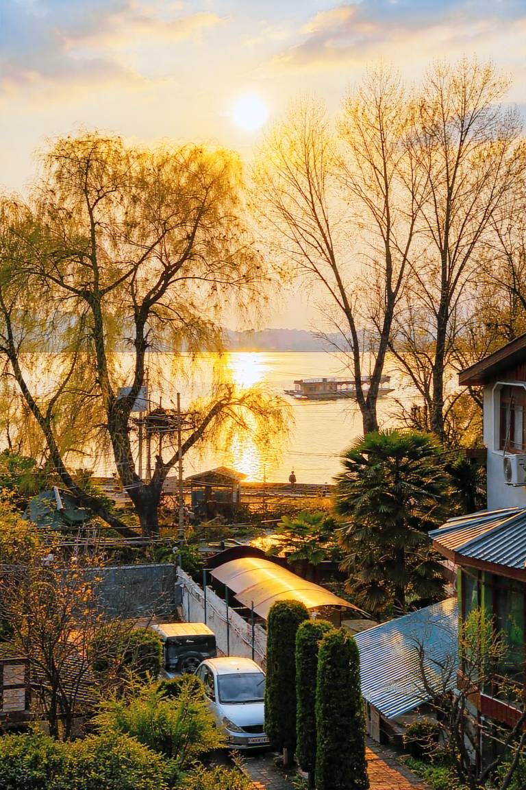 Heritage Rose Inn - Dal Lake — photo 5