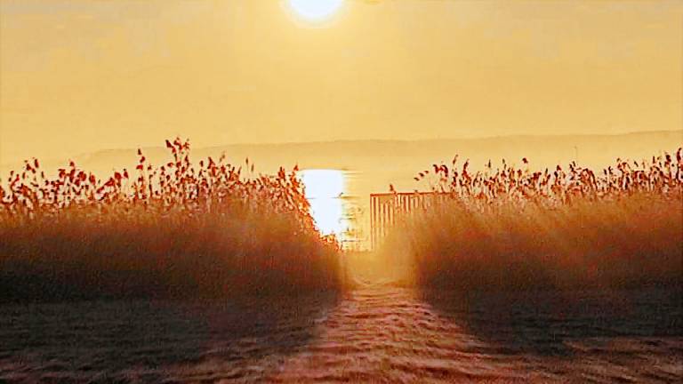 Ferienwohnung Plau am See