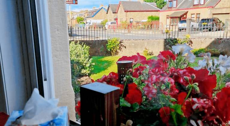 Isla Rose Cottage — photo 4
