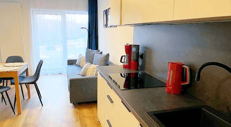 Apartment with 1 room for 4 persons — photo 3