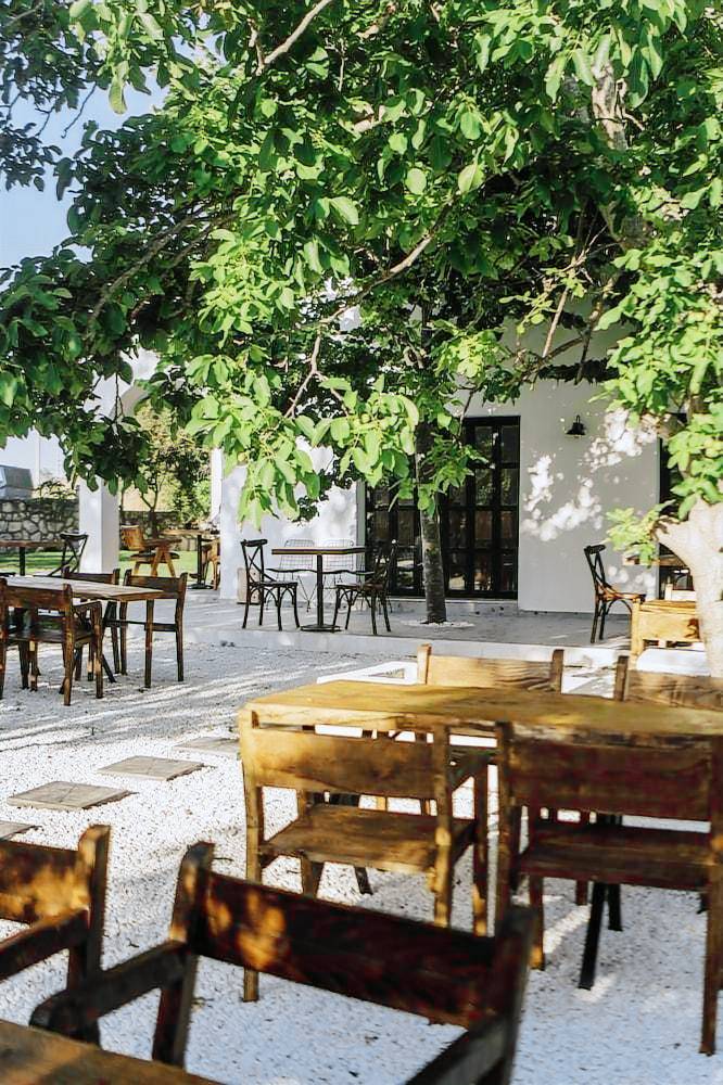 Riserva Urla — photo 5
