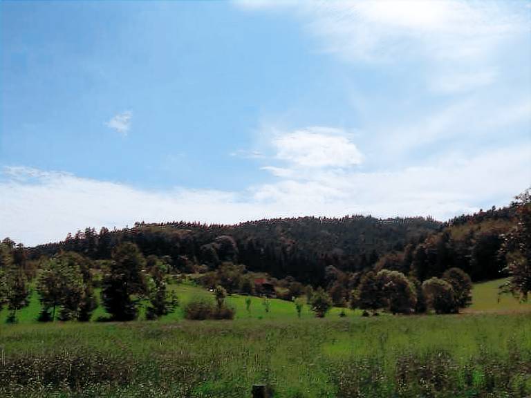foto4