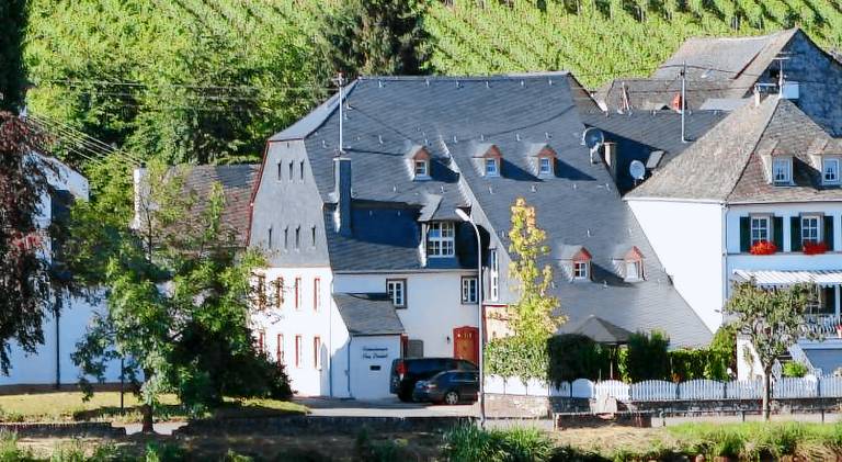 Holiday apartment with terrace | Pets allowed in Bernkastel-Kues
