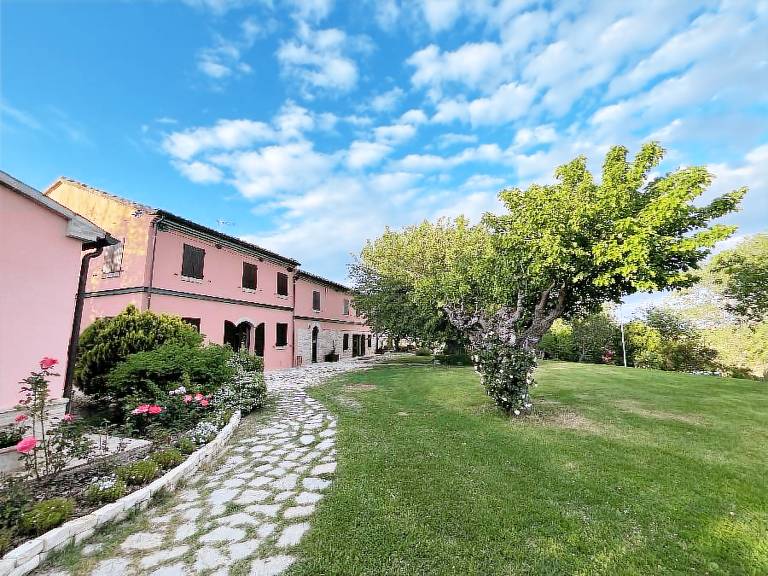 foto1