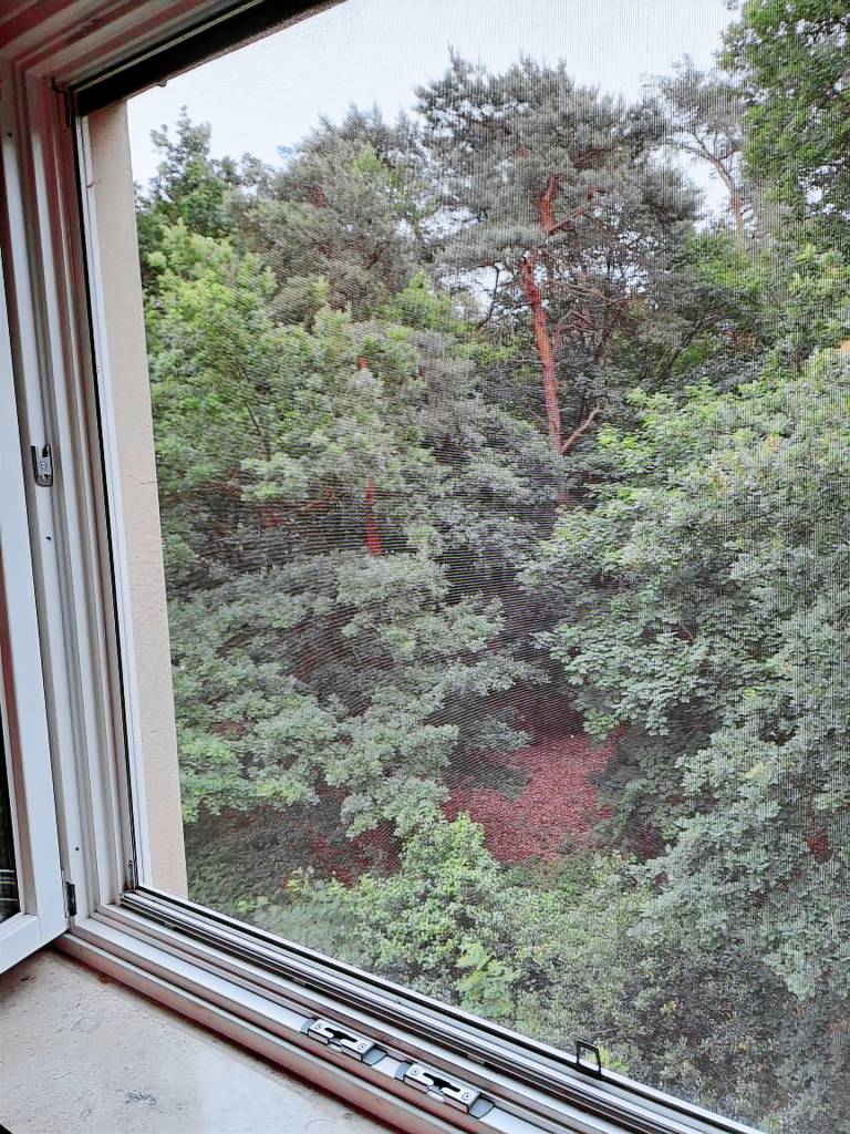 Ferienwohnung  Steinhagen