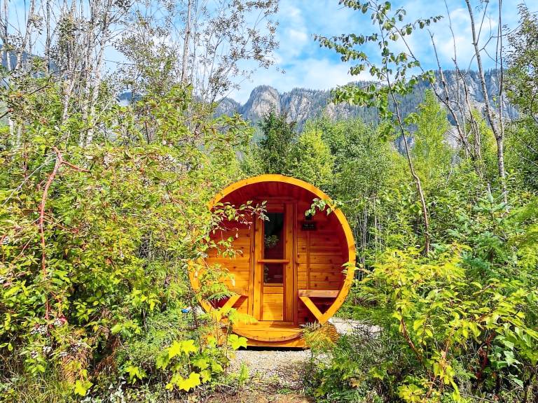 Cabin Revelstoke