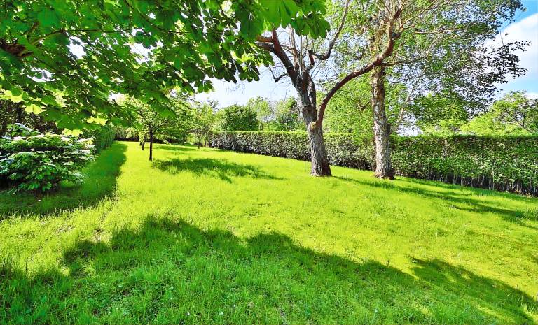 Gite with garden & grill | River view — photo 4