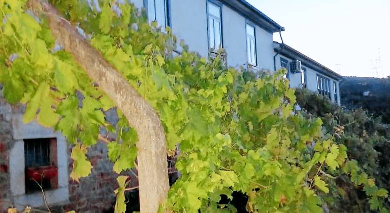 Farm with patio & yard in Viseu